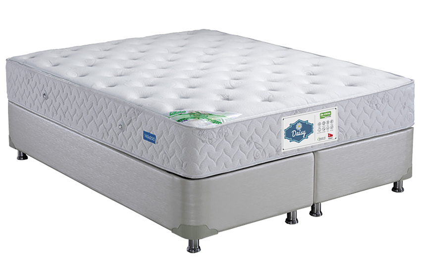Daisy Pocket Yaylı Ergonomik Yatak